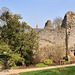 Vestiges du donjon de la Fresnay-sur-Sarthe