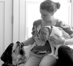 Young woman with spaniels