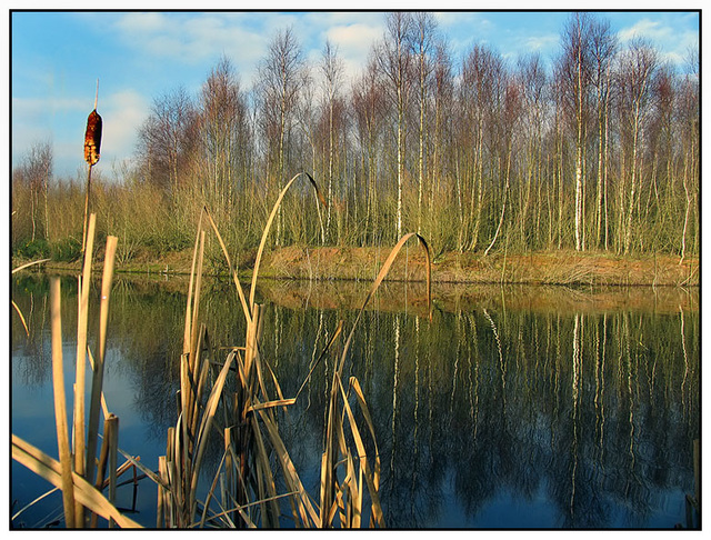 Newchurch Common