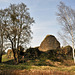 Ruines du Château de Bourg-le-Roi - Sarthe