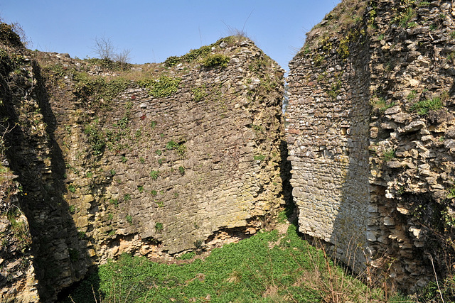 Ruines du donjon de Bourg-le-Roi - Sarthe