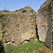 Ruines du donjon de Bourg-le-Roi - Sarthe