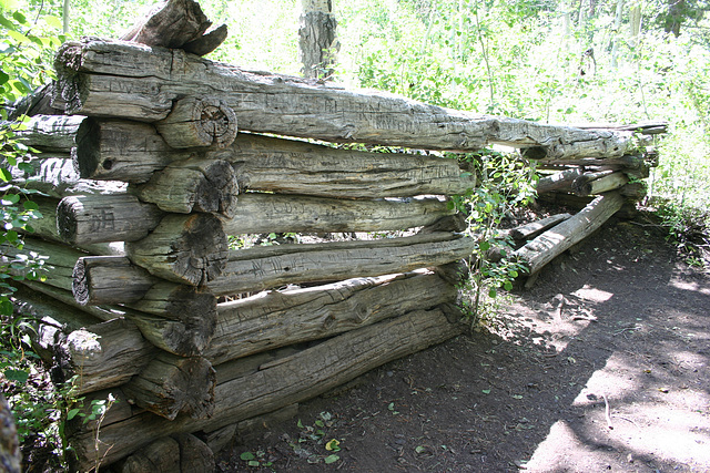 Old cabin, Lundy Canyon