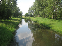 Die Nieplitz bei Stangenhagen/1