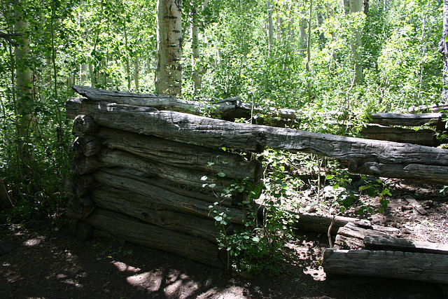 Old cabin, Lundy Canyon