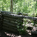 Old cabin, Lundy Canyon