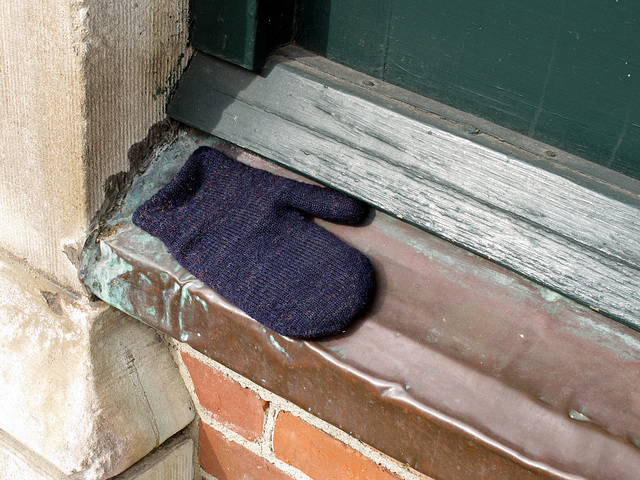 Lost Mitten