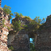 Ruine des Turmes