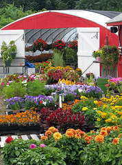 Nancy's Flower Depot