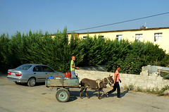 Donkey and Cart