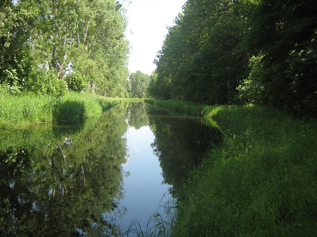 Die Nieplitz bei Stangenhagen/2