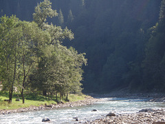 Schwarzer Tscheremosch