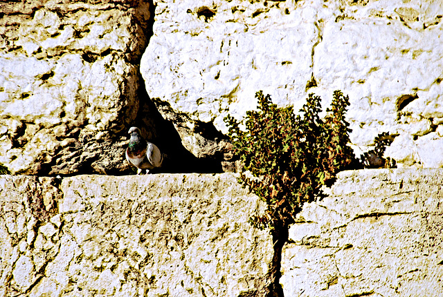 rocks of thousands of years old