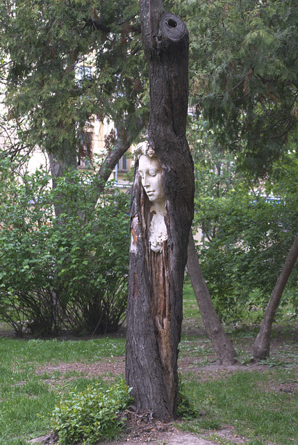 eine Skulptur im Baum