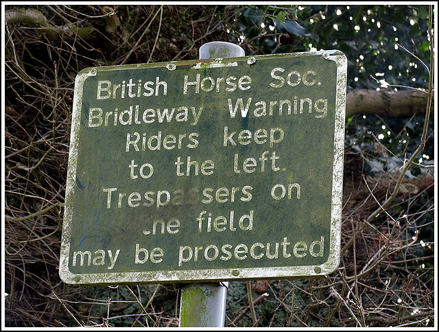 Horses may be prosecuted