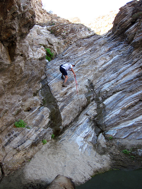 Magnesia Springs (5580)