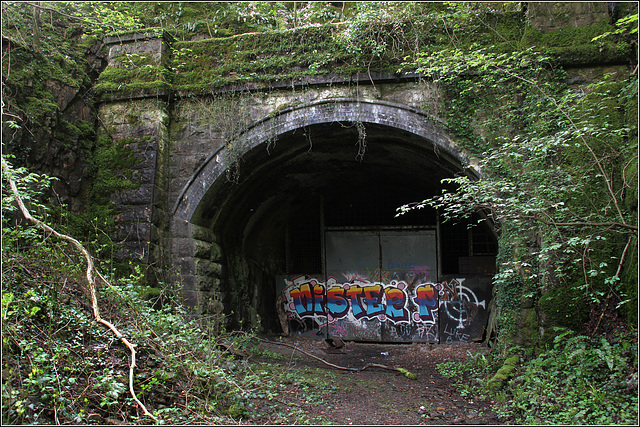 Tunnel Portal