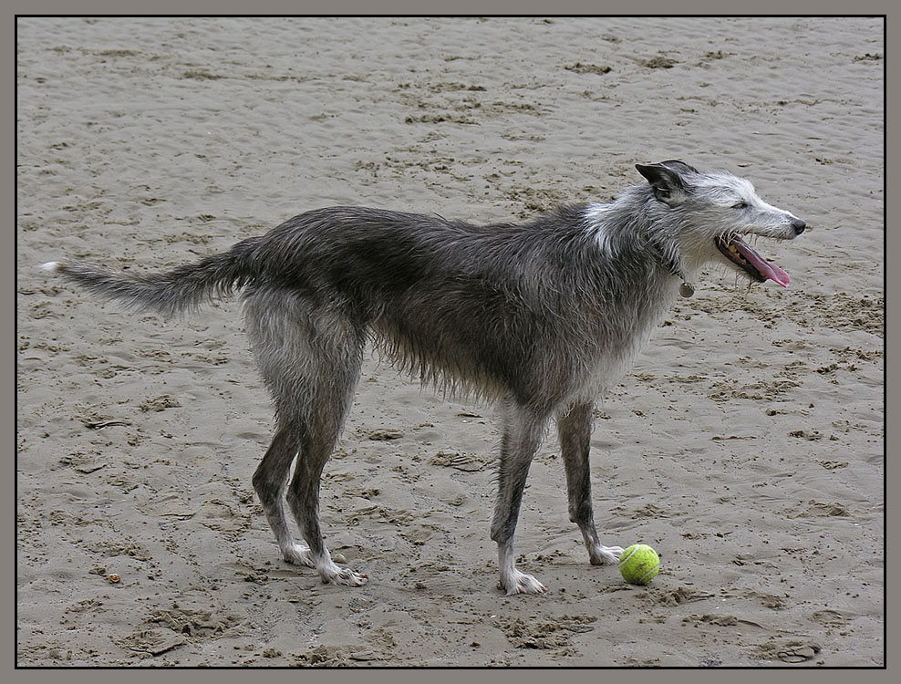 Beach fun