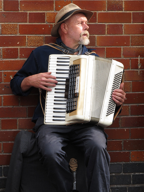 Accordion