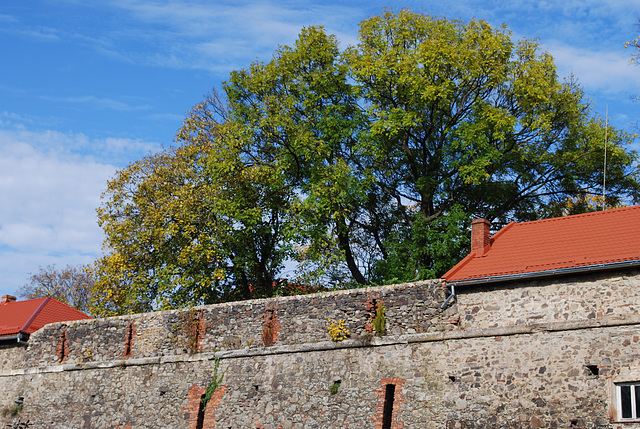 Mauer des Ungwarers Schlosses