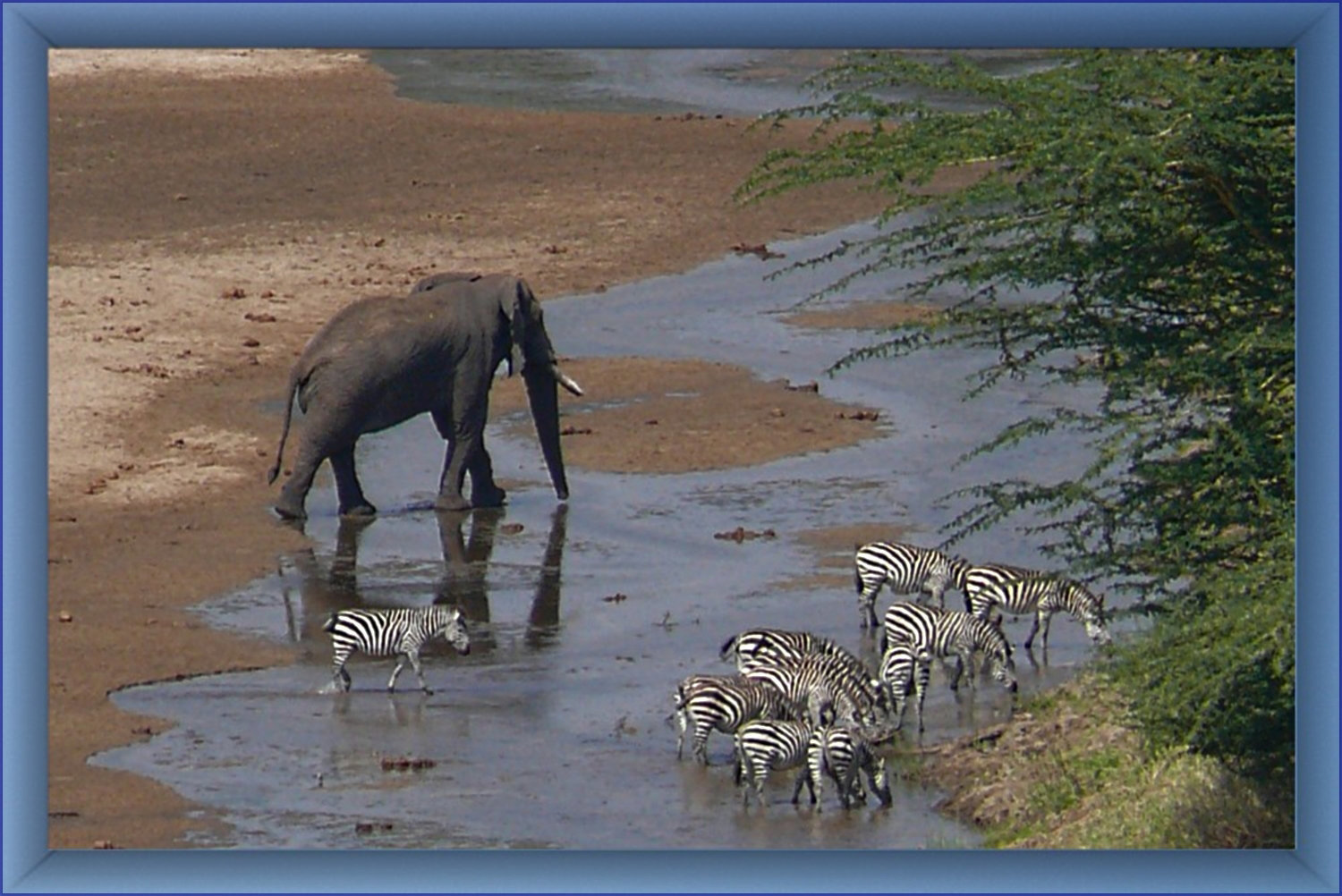 L'eau, la vie