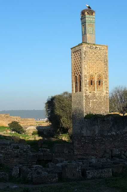 Minaret de la Zouïa de Chellah (Rabat)