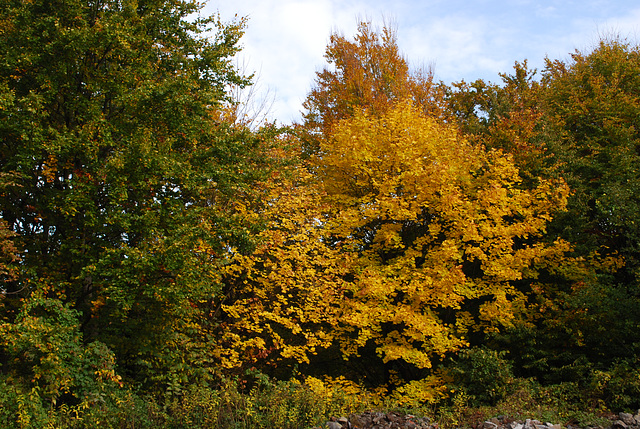 Herbstfarben