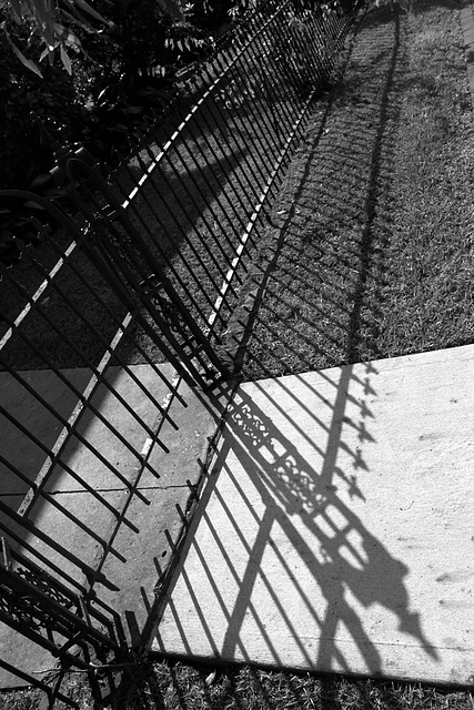 Fence, Pollock Street