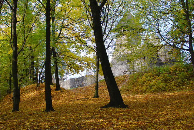 Newitzkij Schloss im Herbst