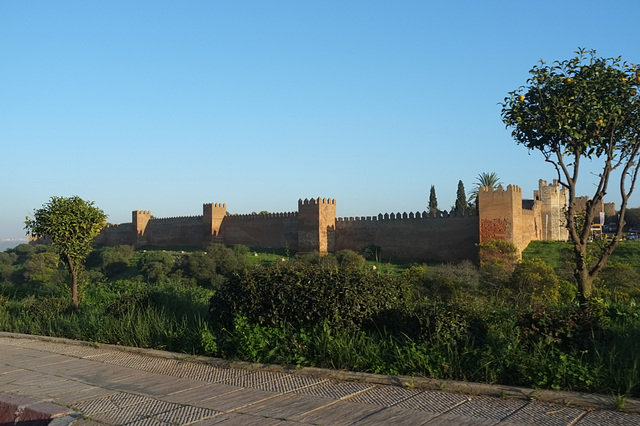 Les murs d'enceinte de Chellah (Rabat)