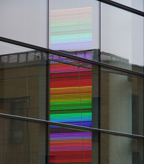 rainbow stripes