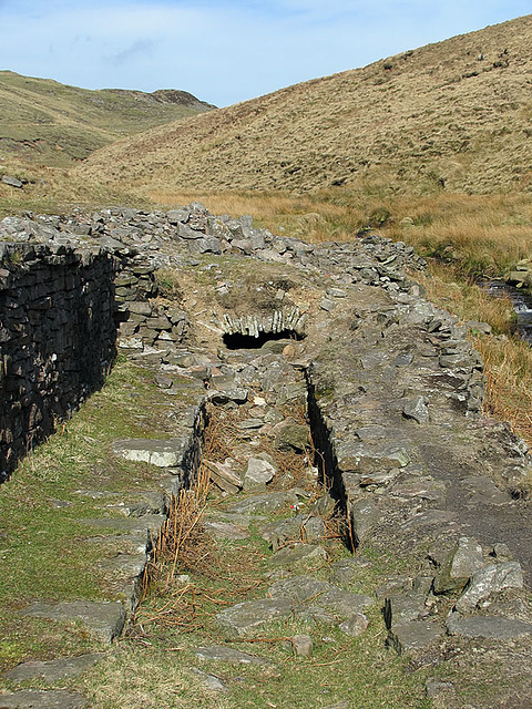 Dane Bower Colliery