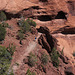 Descent, Canyon de Chelly