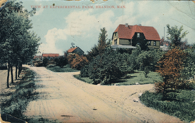 View at Experimental Farm, Brandon, Man.