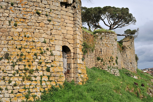 Château de Bressuire - Deux-Sèvres