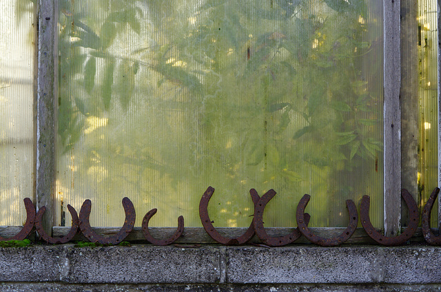 greenhouse horseshoes