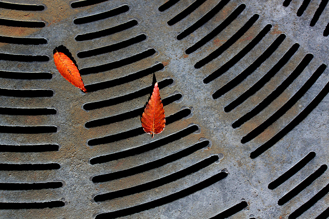 Grate, Craven Street