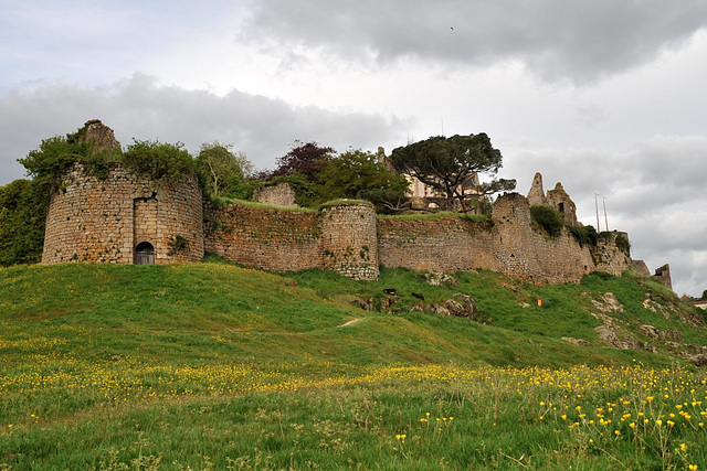 Château de Bressuire - Deux-Sèvres