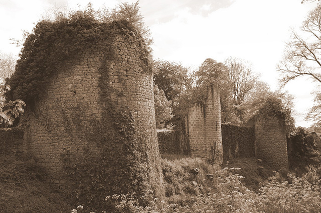 Château de Bressuire - Deux-Sèvres