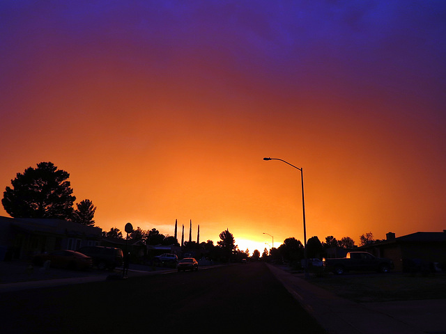 Arizona Sunset