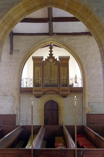 organ