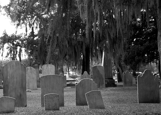 Headstones, Cedar Grove