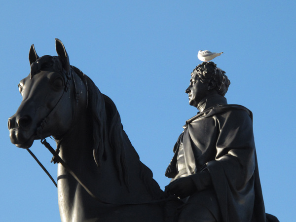 George IV with seagull