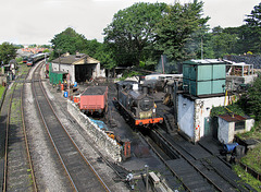 Swanage Shed