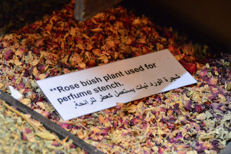 Fujairah 2013 – Fujairah Museum – Rose bush plant used for perfume stench