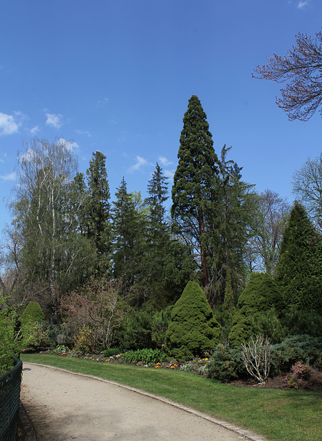 Vue avec Sequoia