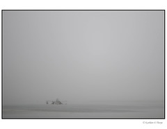 Shrimp Trawler Seascape in Mist