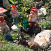 Swiss Gnomes