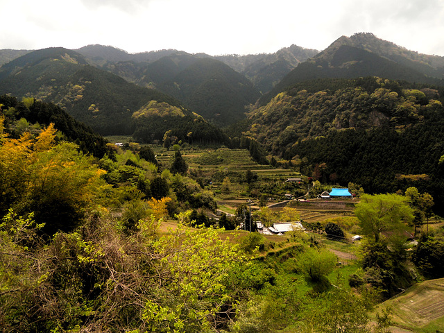 Countryside