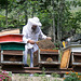 Beekeeping Style